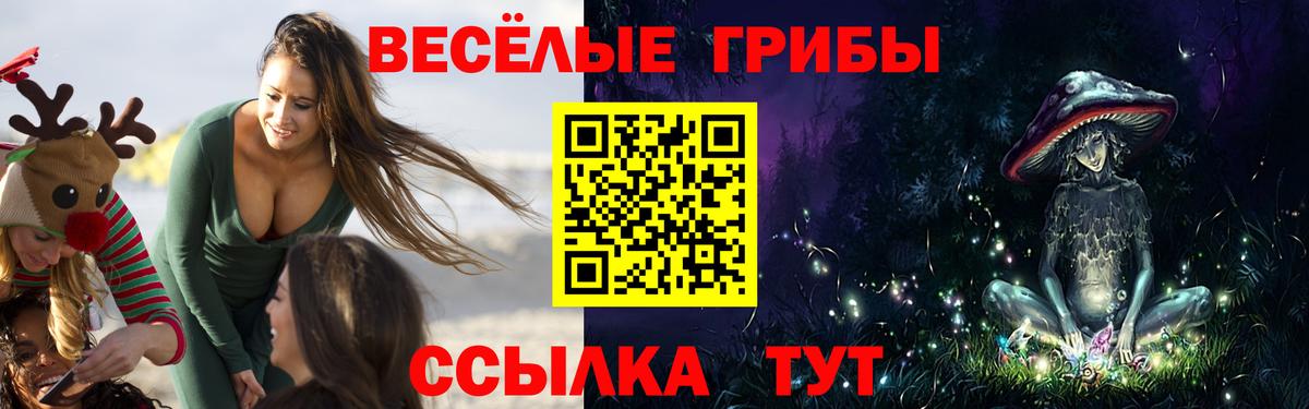 дарнет шоп  Вход с VPN  Гатчина  Псилоцибиновые грибы GOLDEN TEACHER  Галлюциногенные грибы мухоморы 