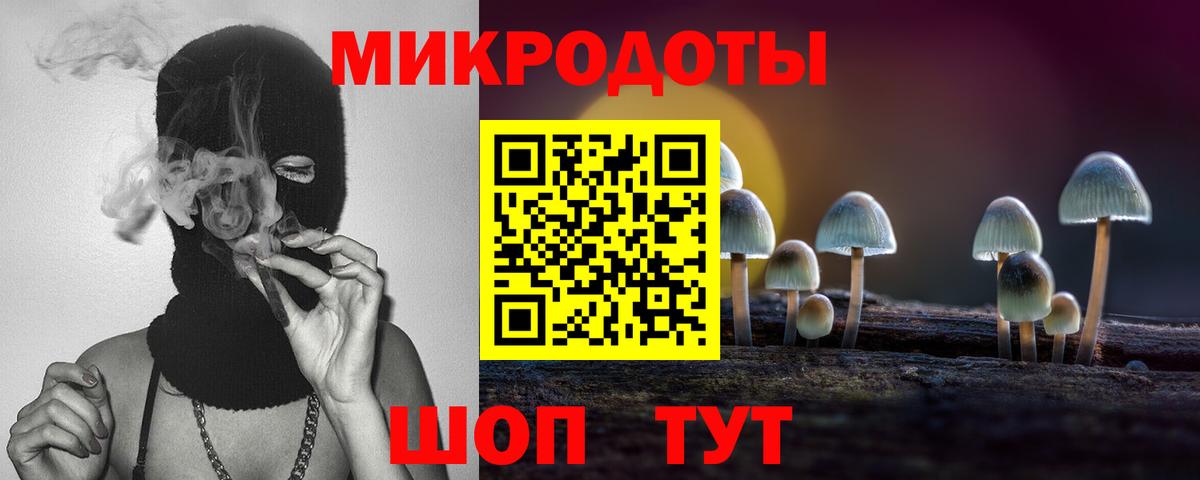 Псилоцибиновые грибы ЛСД Гатчина
